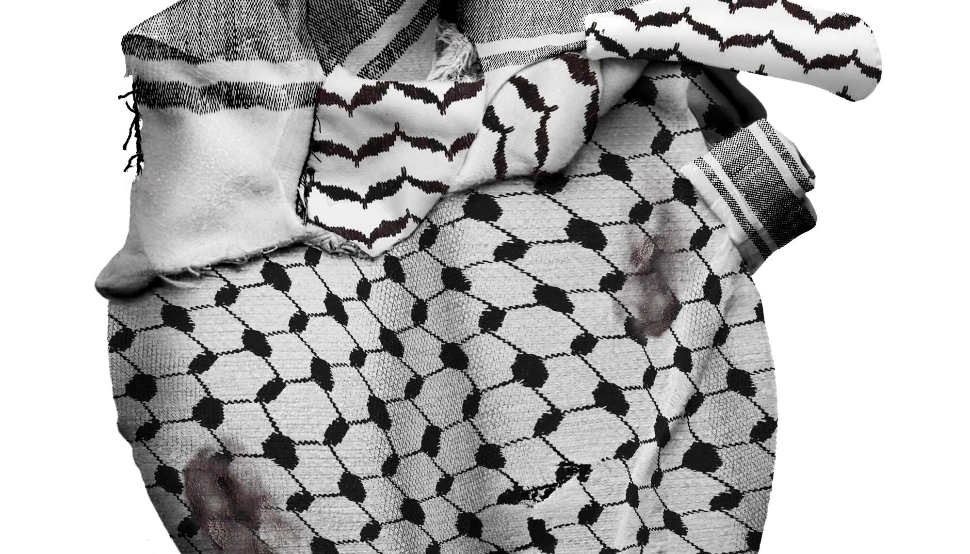 cartel descarga free palestine portada 73