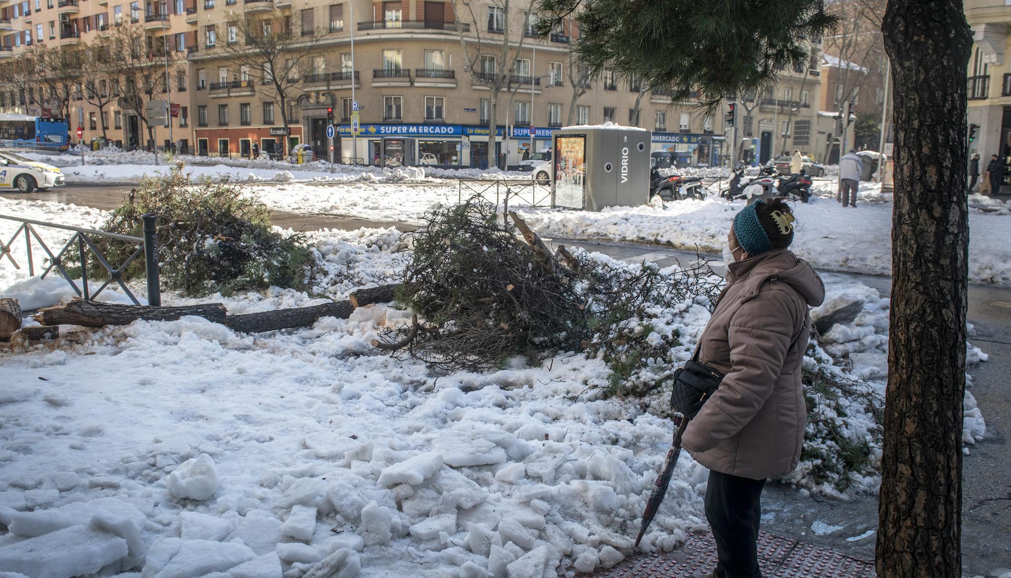 Nieve y basura en el barrio de Tetuán - 12