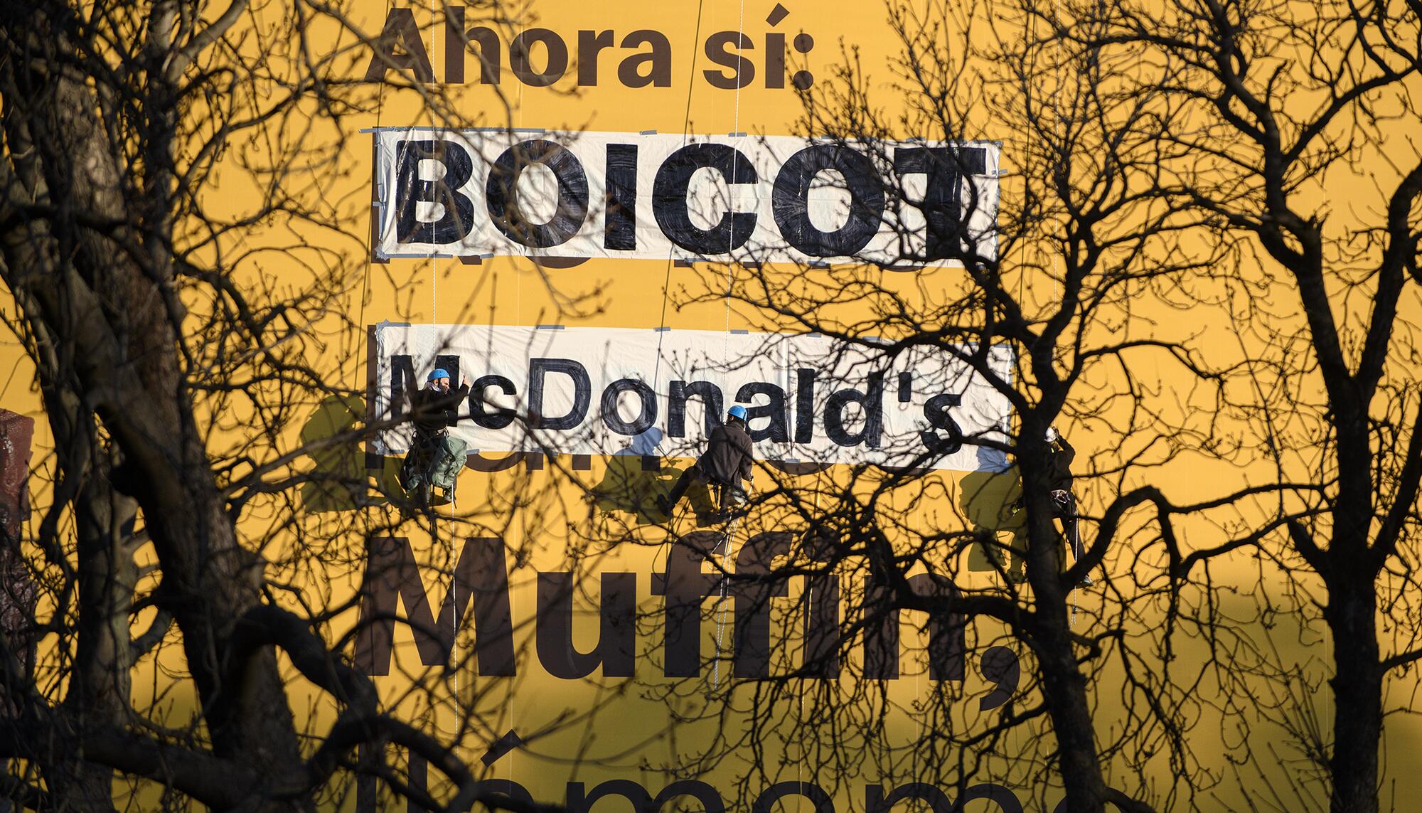 Boicot Mac Donalds Palestina - 5