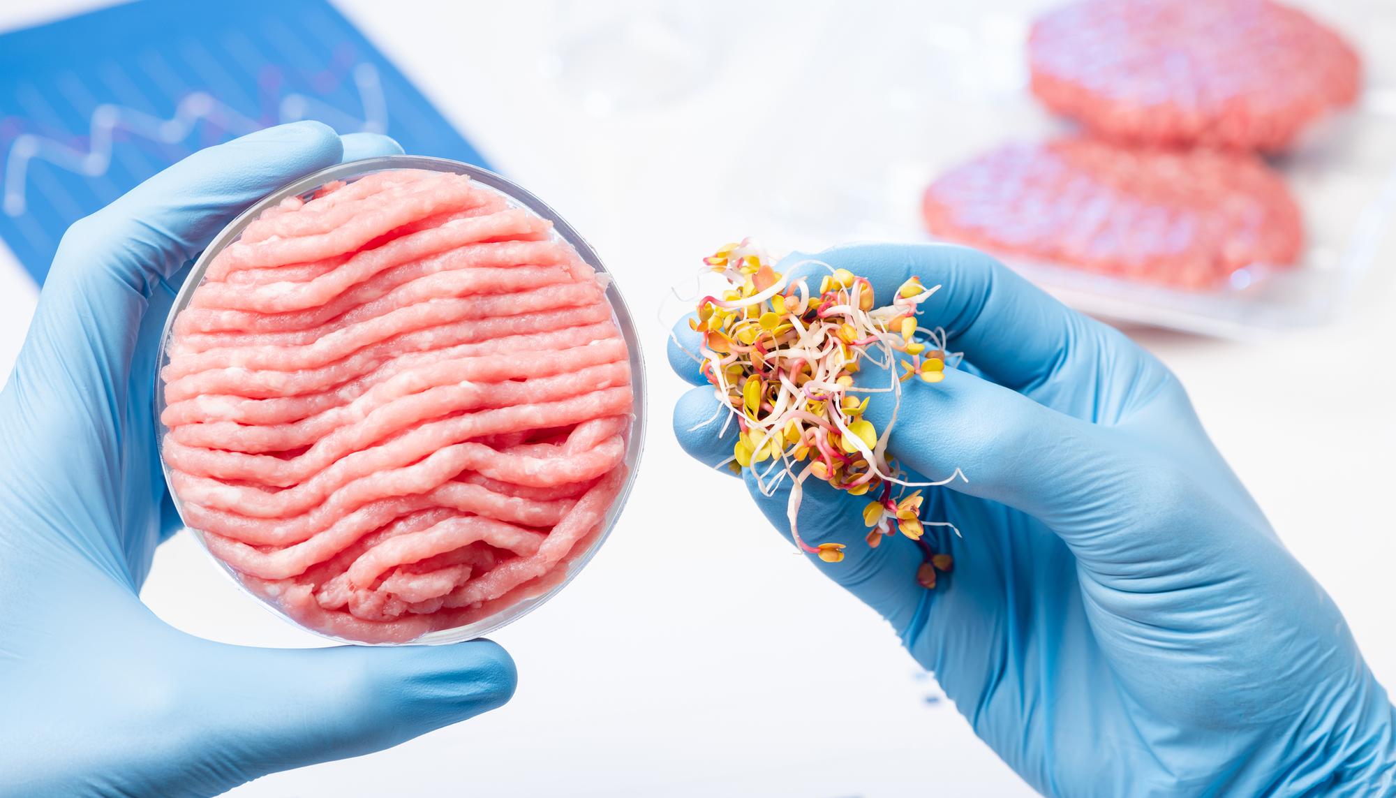 BioTech Foods